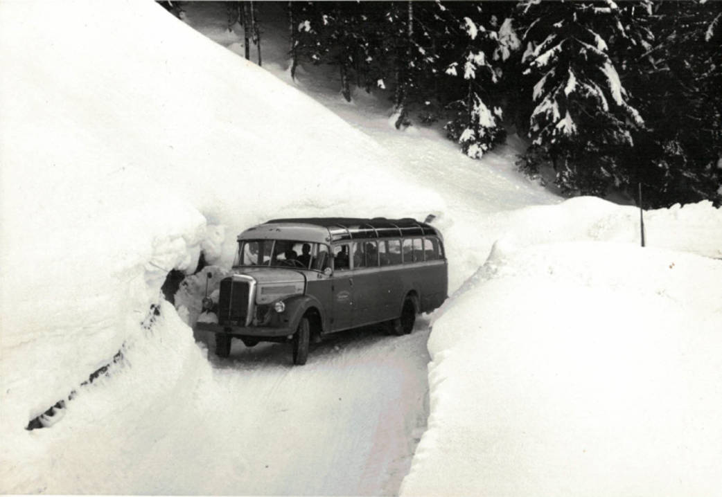 Oldtimer_Bus_Fieberbrunn_Doedlinger_Touristik_-_Kopie